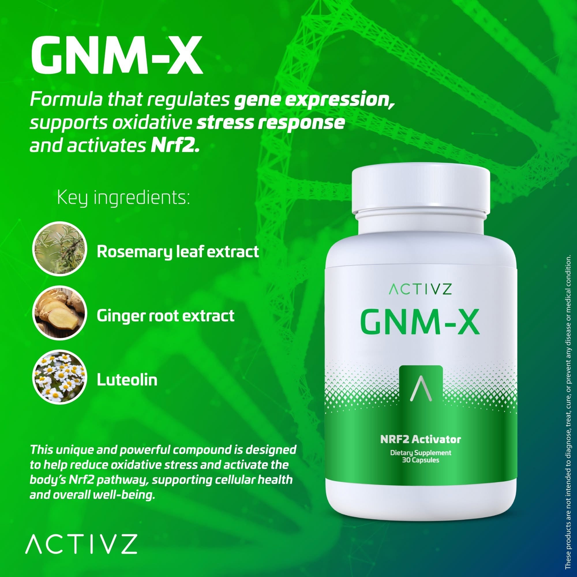 Activz GNM-X
